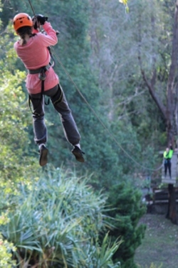 Treetops challenge zipline